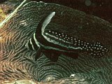 Curacao 04-12 186